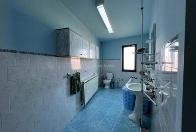 Lugoj, Vila P+2E+M , 656 Mp., Construiti, Posibilitate De Investitie, Zona 0 - 2