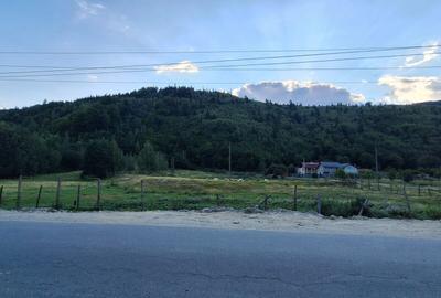 Teren intravilan de 11547 mp, în Lerești - 2