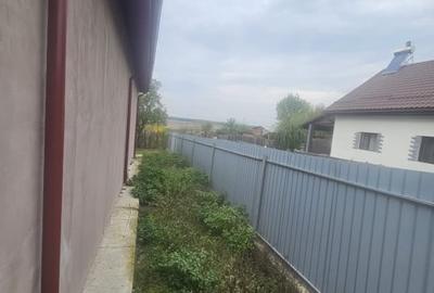 Casă individuală cu 7 camere cu Teren 3000 Mp în Central - 4