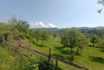 Oferta luna aceasta! Teren 10000 mp in Corbi Arges - 4