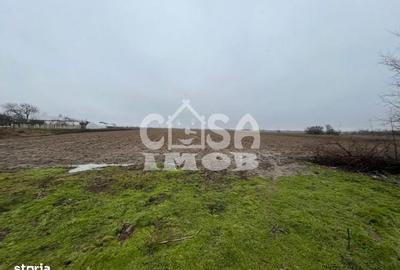 Spațiu comercial, în Merii - 8