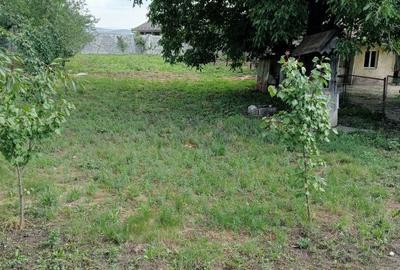 Casă cu 2 camere în Central - 7