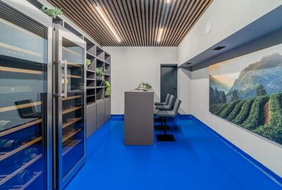 Penthouse cu 4 camere decomandat, mobilat în Primăverii - 12