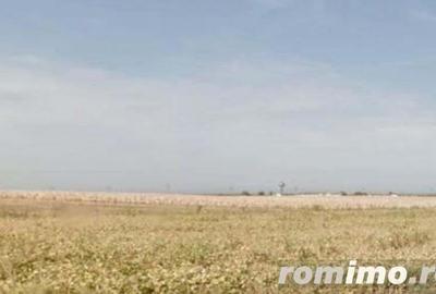 Cota de 1/2 teren intravilan Carei, Jud. Satu Mare, id R1995141 - 3