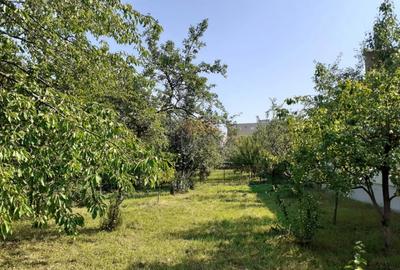 Casa 3 camere, teren 3625 mp, toate utilitatile, Sacele, Brasov - 1