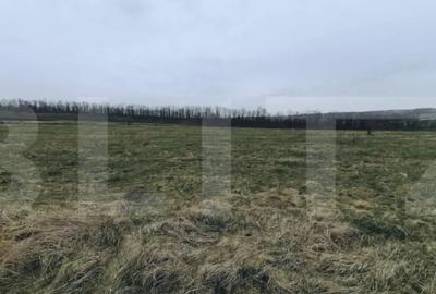 Teren de 750 mp, în Sopor - 2