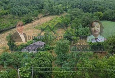 Teren intravilan cu utilita?i 3.000 mp / lot Sl... - 5