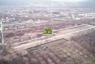 Teren de 3350 mp, în Bujoreni - 8