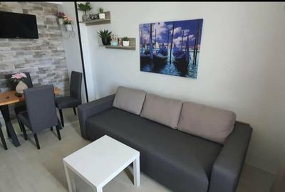 Apartament cu 2 camere semidecomandat, mobilat în Nord - 3