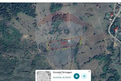 Teren de vanzare 8,700 mp Tarlungeni, comision 0 cumparator