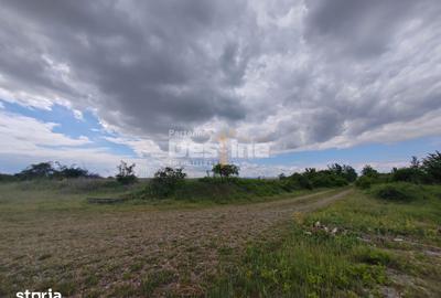 Teren de 114000 mp, în Ariceștii Rahtivani - 13