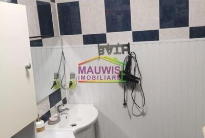 Inchiriez casa, singur in curte in zona Iriceanu - Aparatorii Patriei - 9