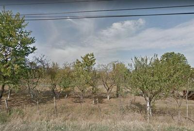 Teren extravilan, Sebes, Jud. Alba -id 9910 - 1