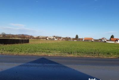 Teren de 2325 mp, în Triaj - 8