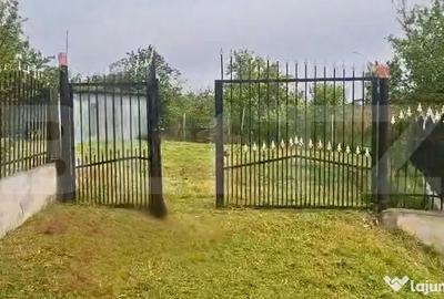 Casă cu 5 camere cu Teren 2300 Mp în Mătăsaru - 6
