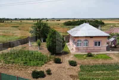 Casă cu 5 camere cu Teren 1400 Mp în Central - 4