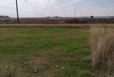 Teren Construcții intravilan de 800 mp, în Malu Mare - 3