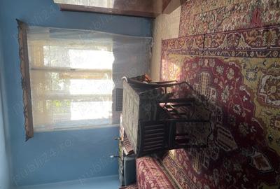 Casa de vanzare in Sannicolaul Mare - 10