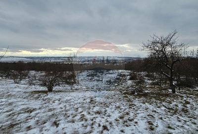 Teren de 10000 mp, în Rădășeni - 10