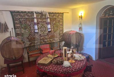 Casă cu 7 camere cu Teren 17000 Mp în Oboga - 11