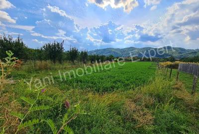 Teren de 2619 mp, în Oeștii Pământeni - 4