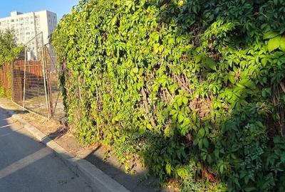 Dr. Taberei, Ghencea teren intravilan, 600 mp - 7