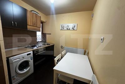 Apartament cu 2 camere decomandat în Gării - 12