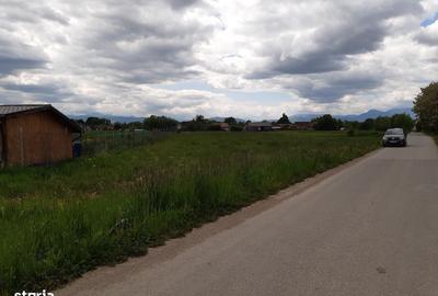 Teren de 50000 mp, în Prejmer - 6