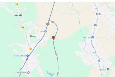 Teren de 2950 mp, în Albota - 7