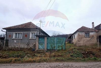 Casă cu 2 camere în Sântelec - 6