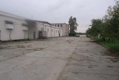 Spațiu comercial, de 10,000 mp, în Drăguțești - 6