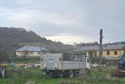 Teren 13700 mp Com. Dobretu 20 min. Craiova - 4