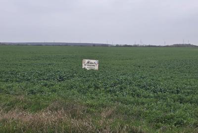 Teren agricol extravilan de 9100 mp, în Ulmi