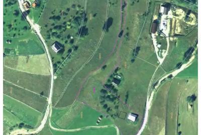 Casa ?i teren de vanzare in sat Vi?agu, com. Sacuieu, jud. Cluj - 5