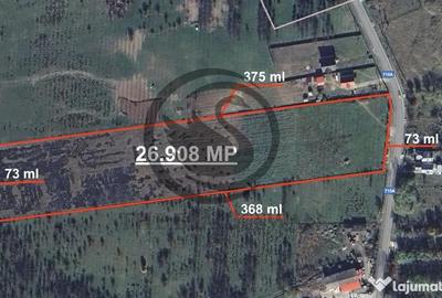 Teren de 26908 mp, în Iedera - 2