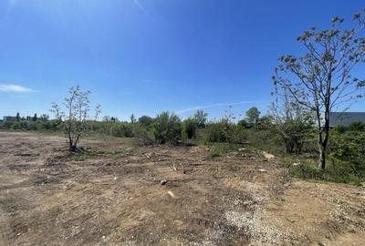 Bragadiru, Str Jadului, 5350mp, deschidere 77ml, toate utili - 4