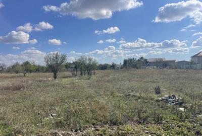 Domne?ti, Str Teiului, 515mp, intravilan, utilita?i, 29ml - 2