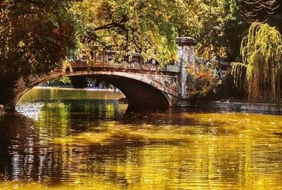 Garsoniera Ultracentral Cismigiu - 8