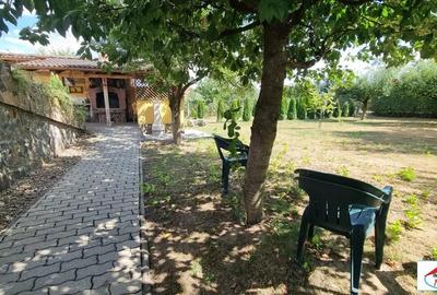 Casă cu 7 camere cu Teren 1717 Mp în Bercu Roșu - 6