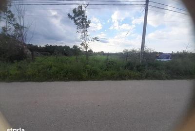 Spațiu comercial, în Crângurile - 3