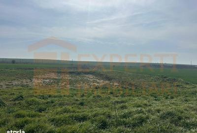 Teren de 10000 mp, în Valu lui Traian