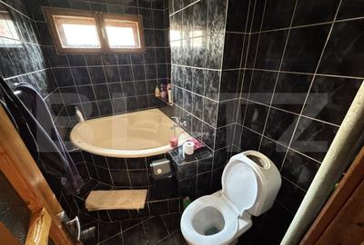 Apartament cu 3 camere semidecomandat, mobilat în Podu Roș - 14