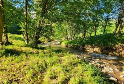 Teren de 12.000 mp la Vama Buzăului – Locație de Vis cu PUZ Aprobat - 4