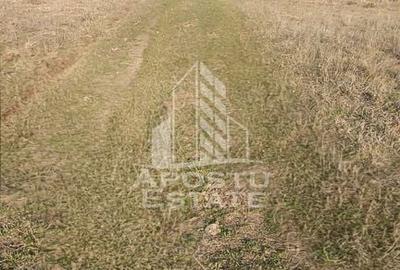 Spațiu comercial, în Bârsa - 4