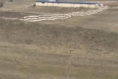 Teren de 7400 mp, în Jibert - 2