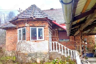 Casă cu Teren 10000 Mp în Laz - 4