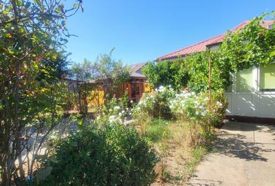 Casa moderna de vanzare Valul lui Traian - 12