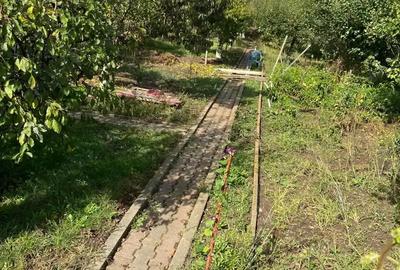 Vand casa zona schit - 2