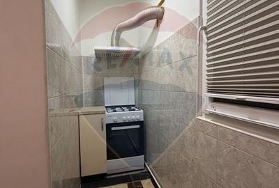 Garsoniera decomandata de inchiriat- Valea Rosie - 8