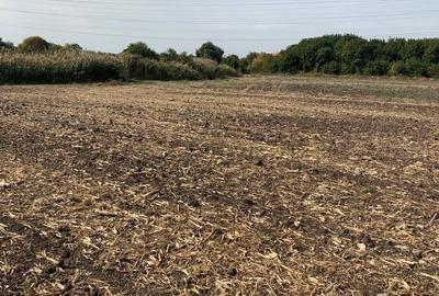 Teren Construcții extravilan de 7500 mp, în Afumați - 11